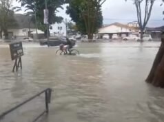 Cari segera penyelesaian banjir di Pulau Pinang